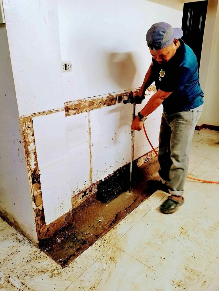 termite pest control